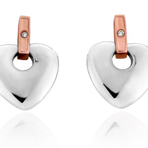 Cariad Earrings