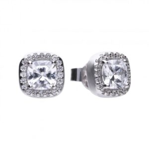 Diamonfire CZ Stud Earrings