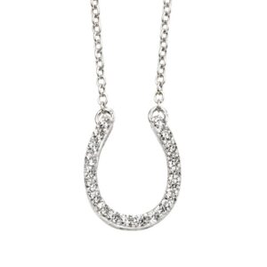 Silver Horse Shoe Necklace With CZ