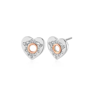 Cariad Sparkle Stud Earrings