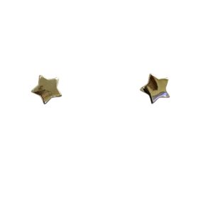 Silver Star Stud Earrings