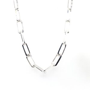 Silver Chain